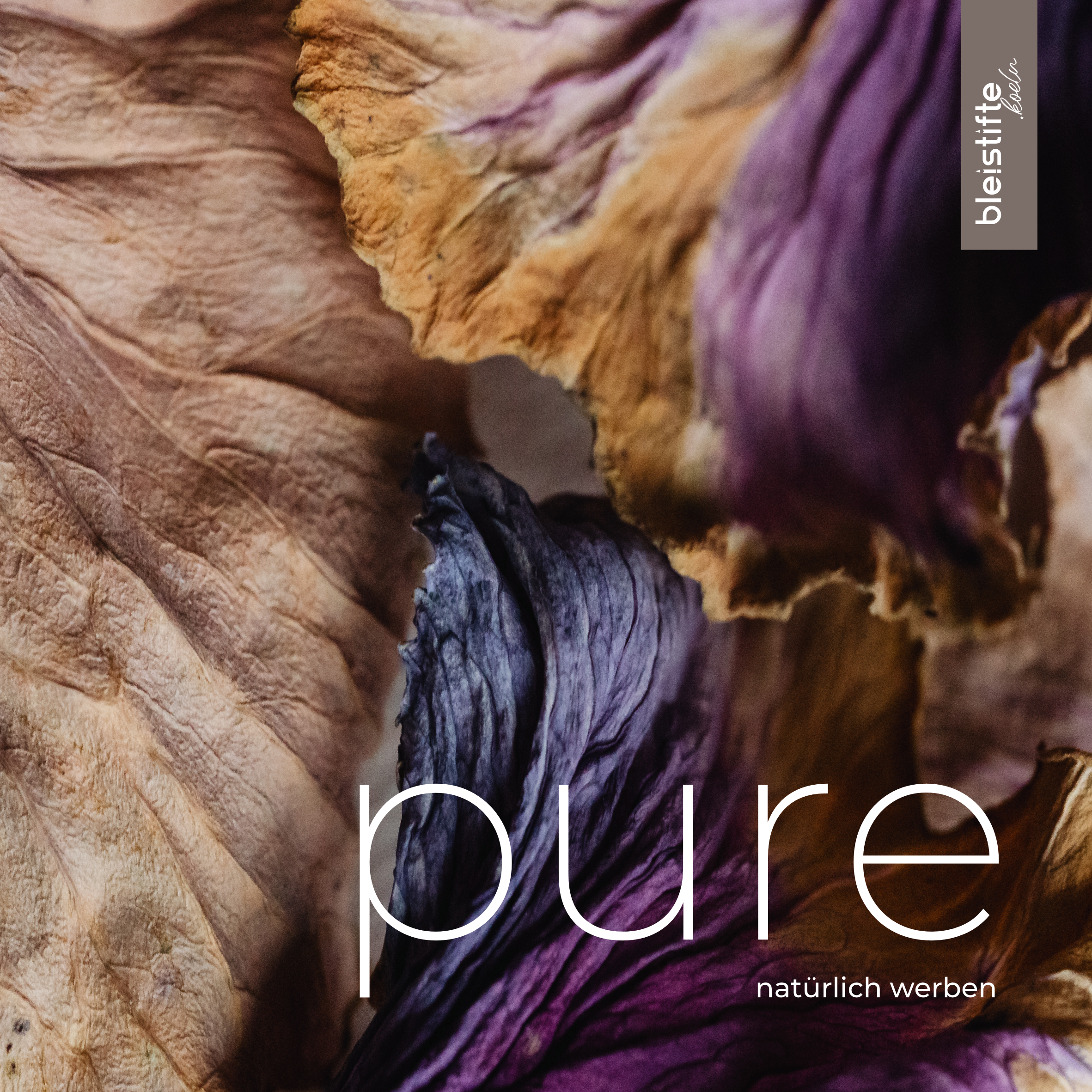 some placeholder title text